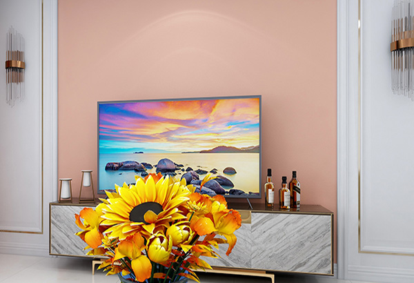 硅藻泥價格貴，我依然選擇