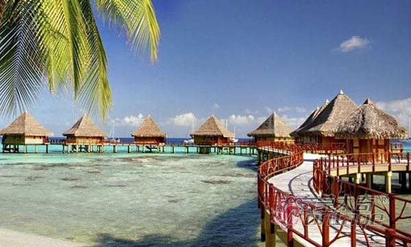 2015年秋季促銷(xiāo)活動(dòng)